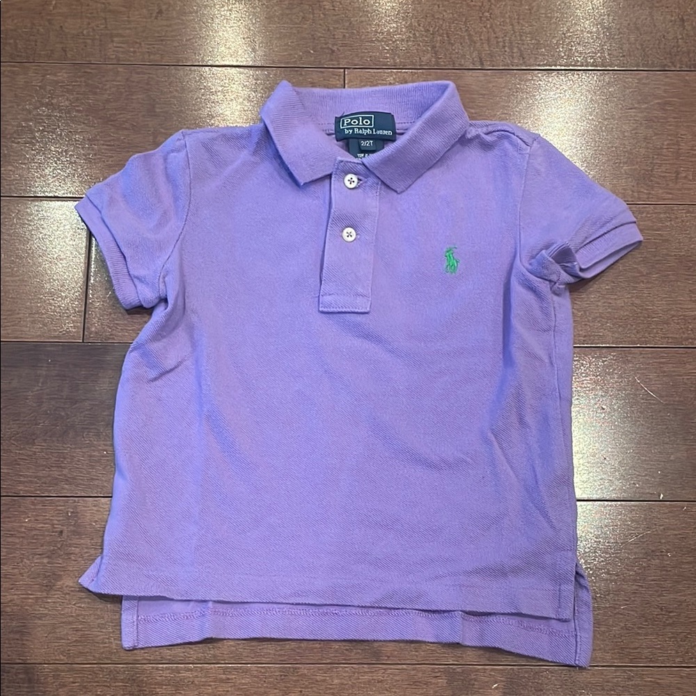 Polo by Ralph Lauren Purple and Green Polo Shirt Classic Fit
